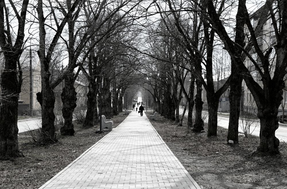 Фотография автора Глеб Рубашкин