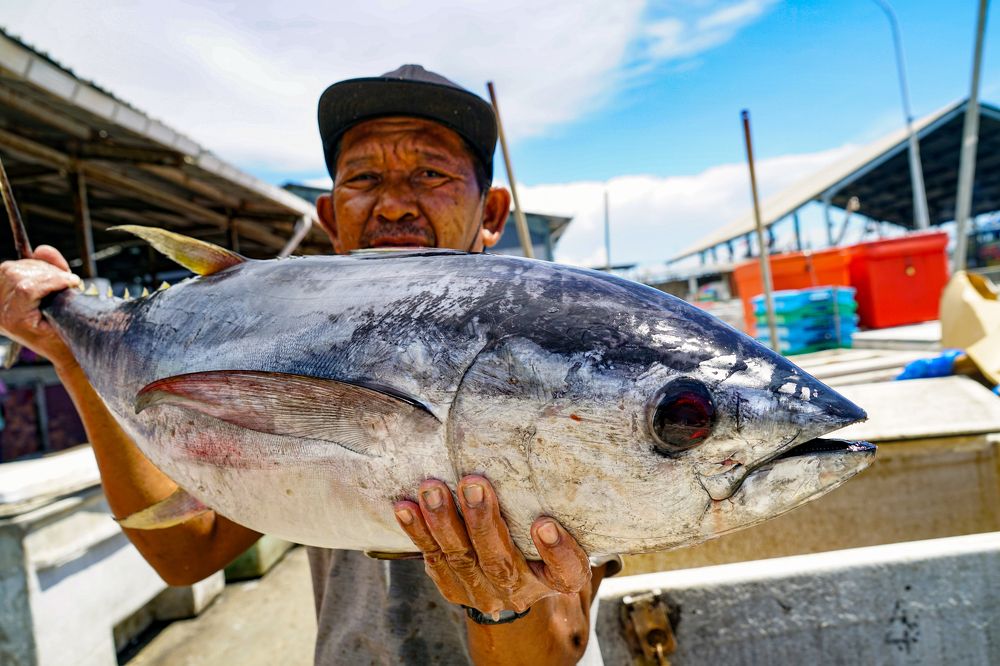 Photograph by Samuel Chan