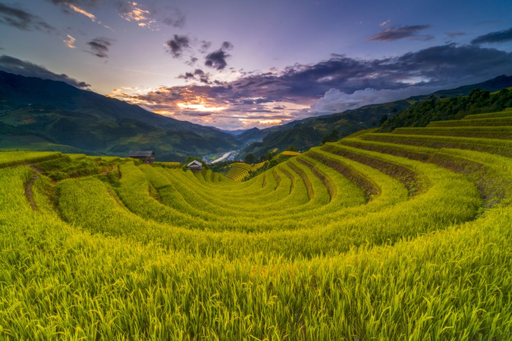 Photograph by Chris Duy