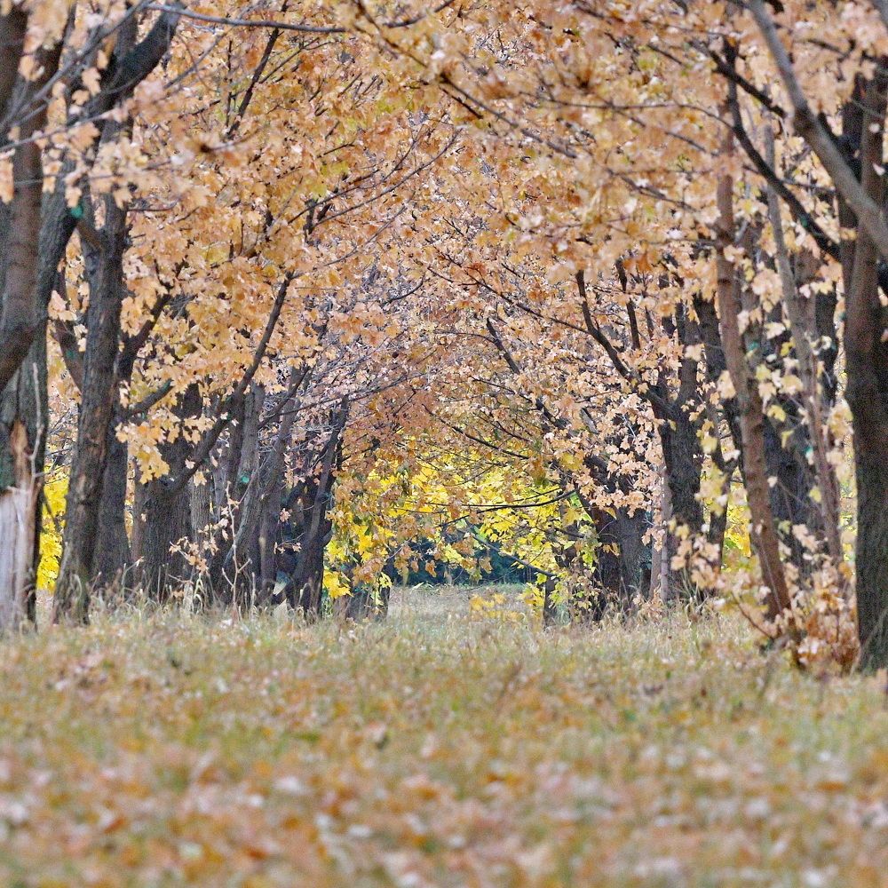 Photograph by Александр Катунцев