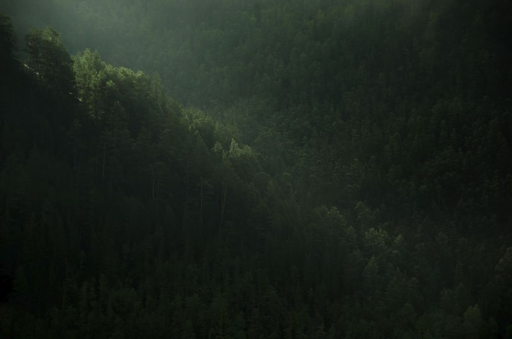 Фотография автора Дмитрий Ляшеев