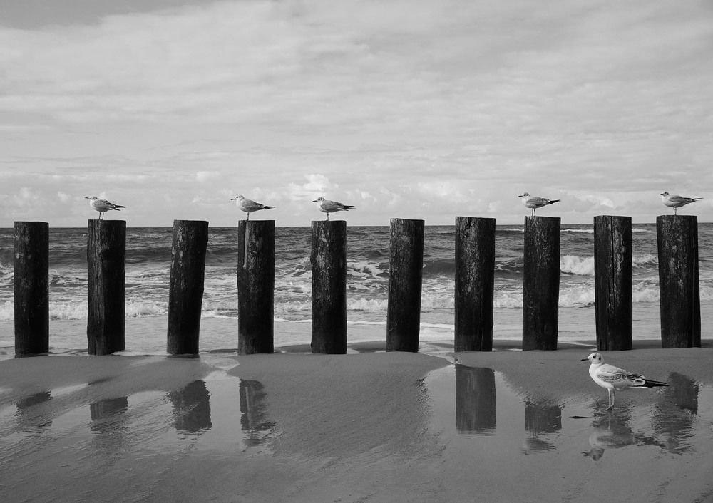 Прерывистый ряд ...