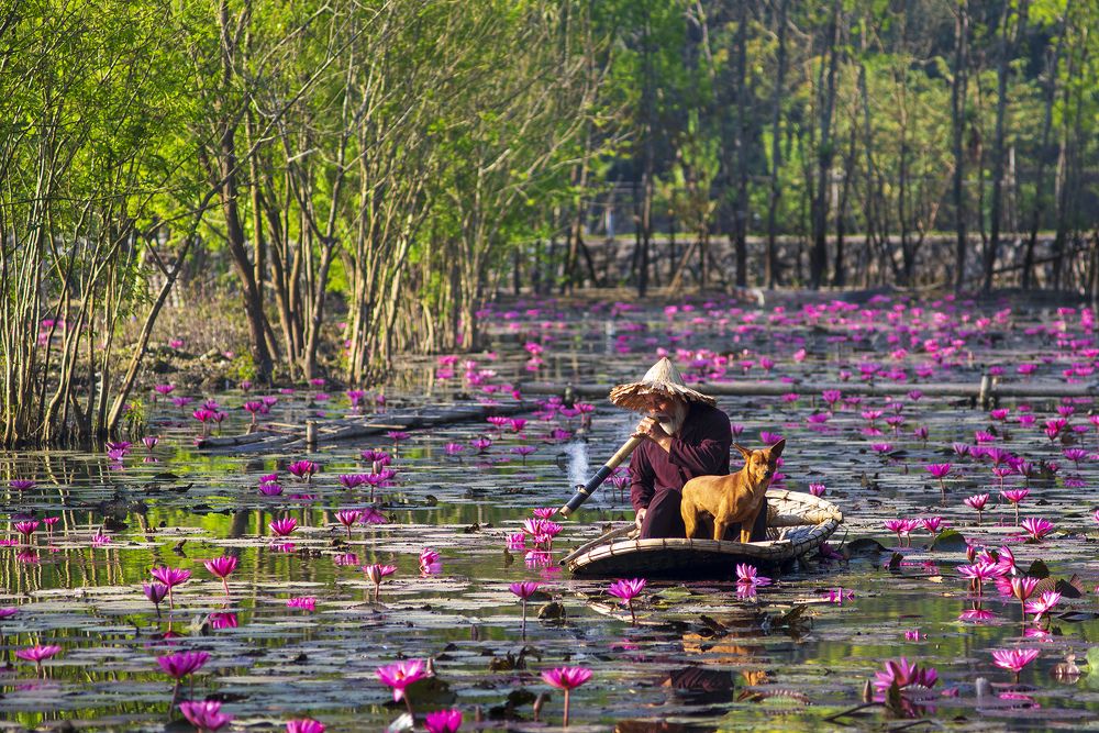 Фотография автора Nguyễn Anh Tuấn
