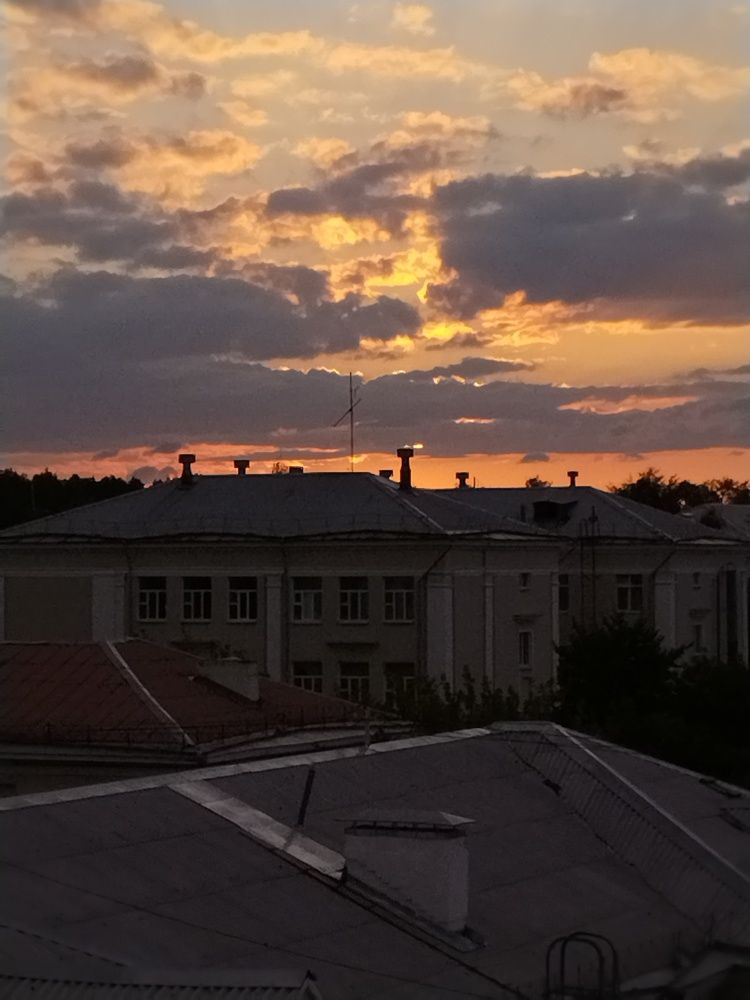 Photo #8241618
