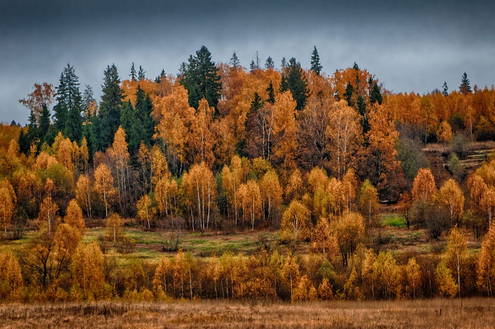 Photograph by Анатолий Калмыков