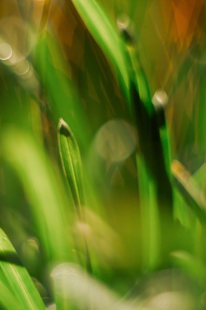 Photograph by Елена Граф