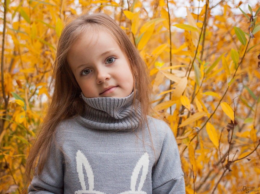 Photograph by Дмитрий Соколов