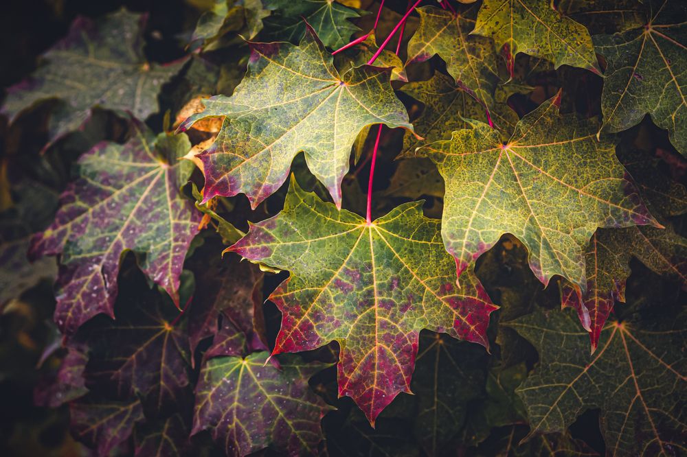 Photograph by Кирилл Богомазов