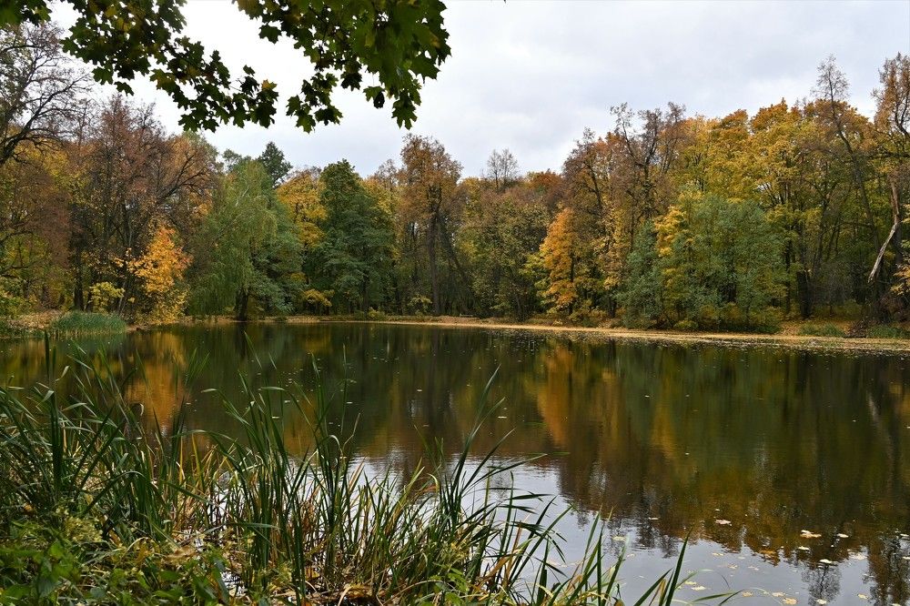 Фотография автора IRINA FILIPPOVA