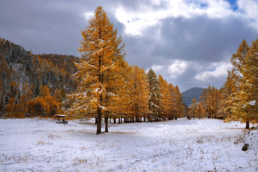 Photograph by Вадим Качанов