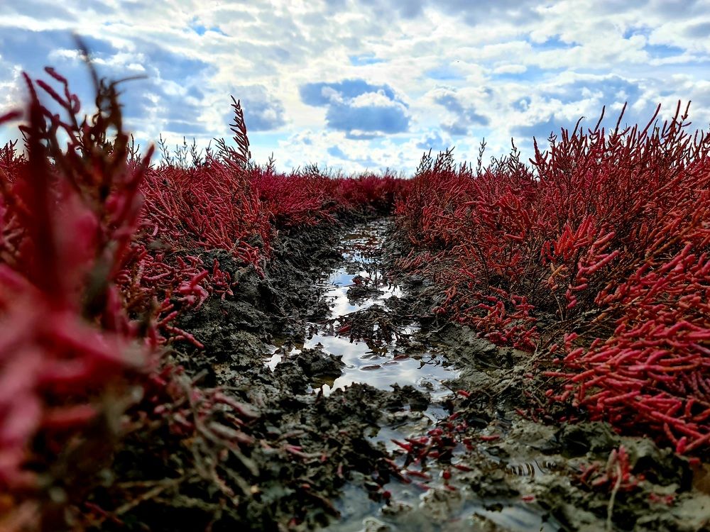 Photograph by Алексей Миронов