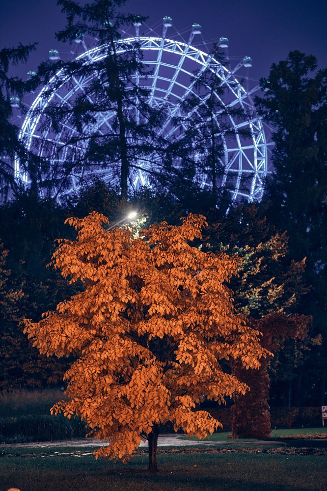 Photograph by Виктор Бабинцев