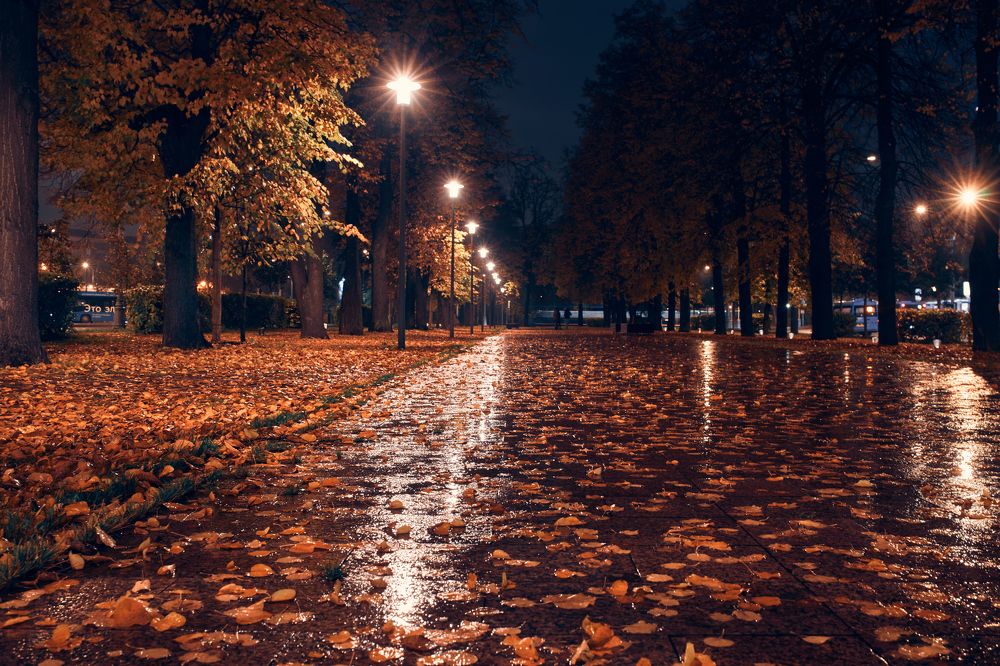 Photograph by Виктор Бабинцев