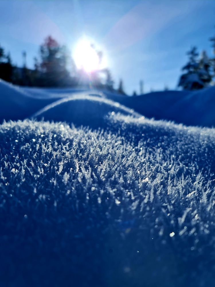 Photograph by Алексей Миронов