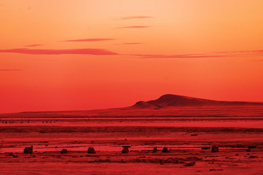 Photograph by Anna Luna