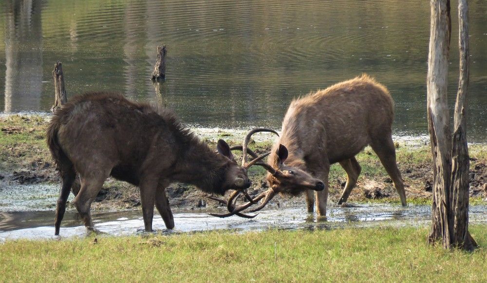 Photograph by ANISH BISWAS