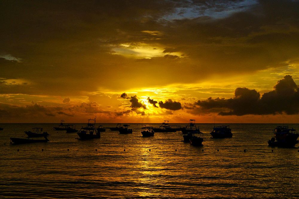 Photograph by Михаил Баевский