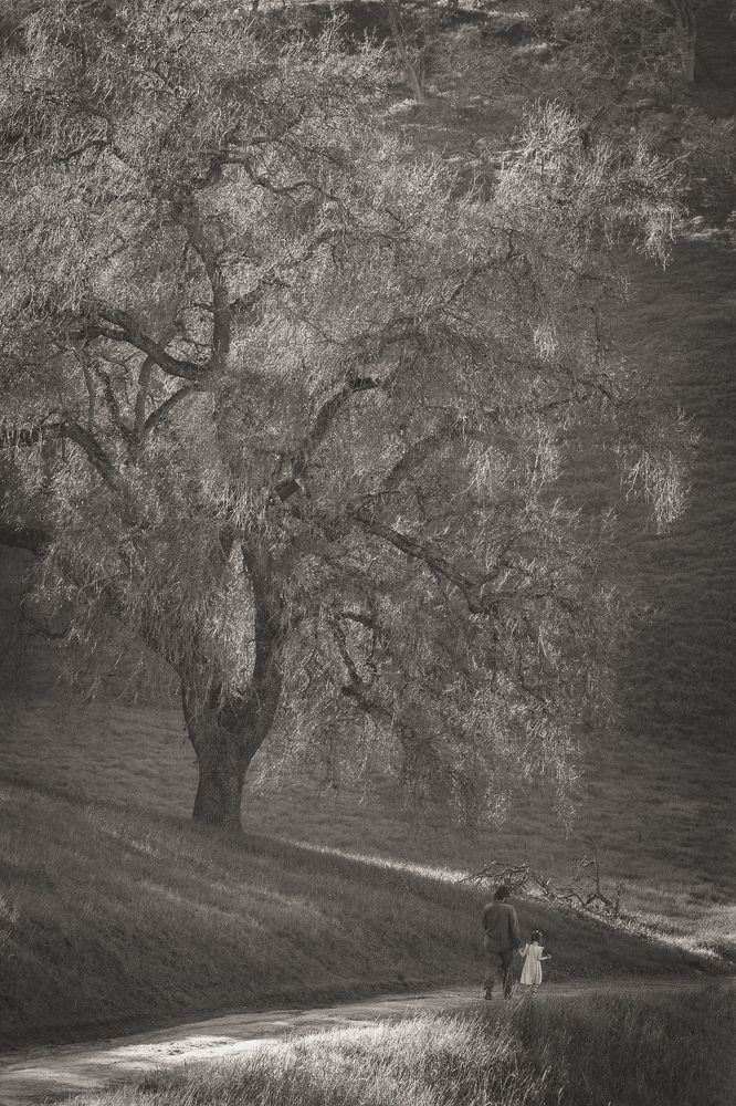 Photograph by Ekaterina Erofeeva