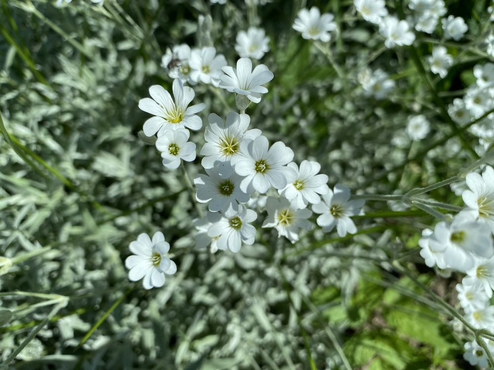 Photograph by Elena Kravchenko