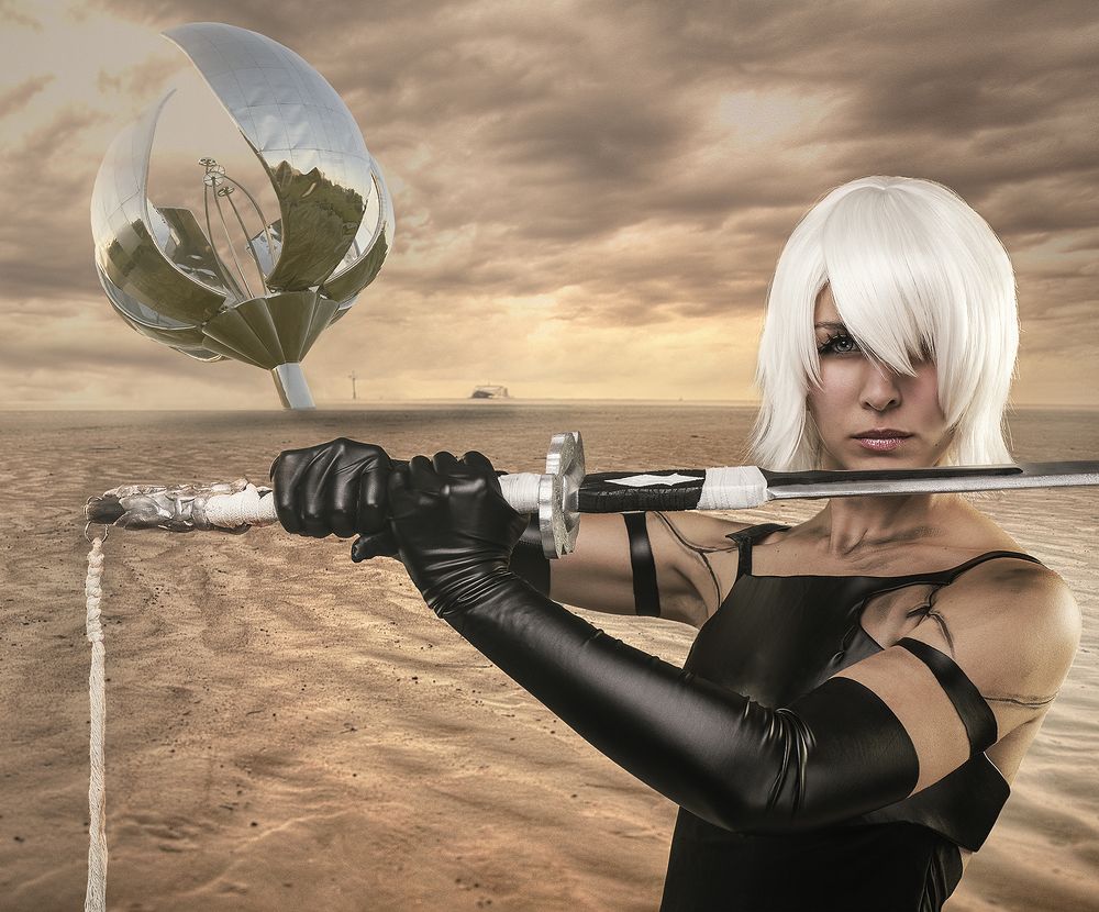 A2 and Floralis generica