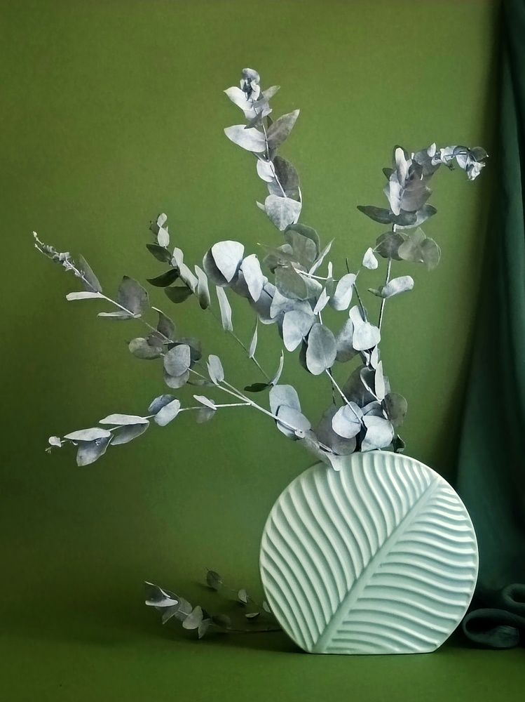 Photograph by Елена Бородина