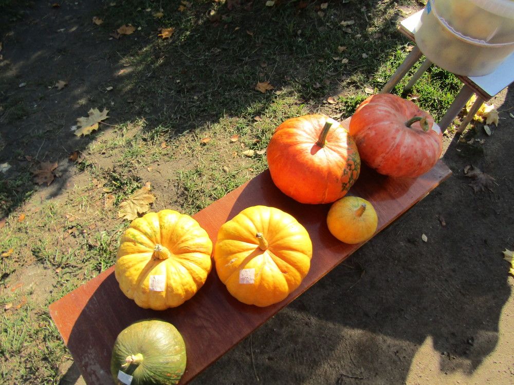 Photograph by Татьяна Смирнова