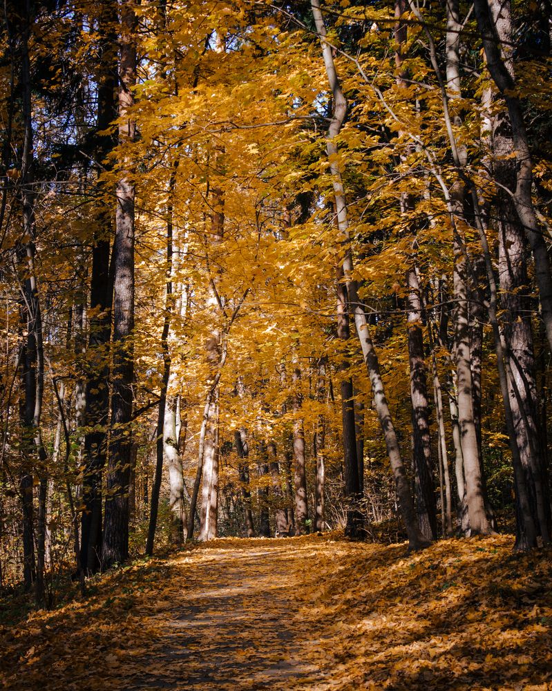 Photograph by Mikhail