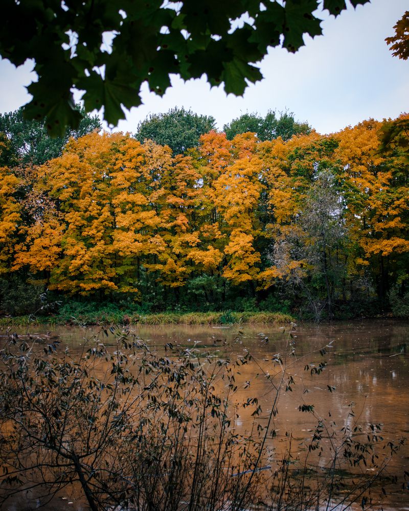 Photograph by Mikhail