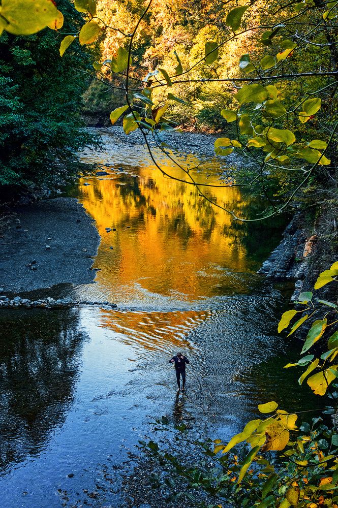 Photograph by Елена Репьева