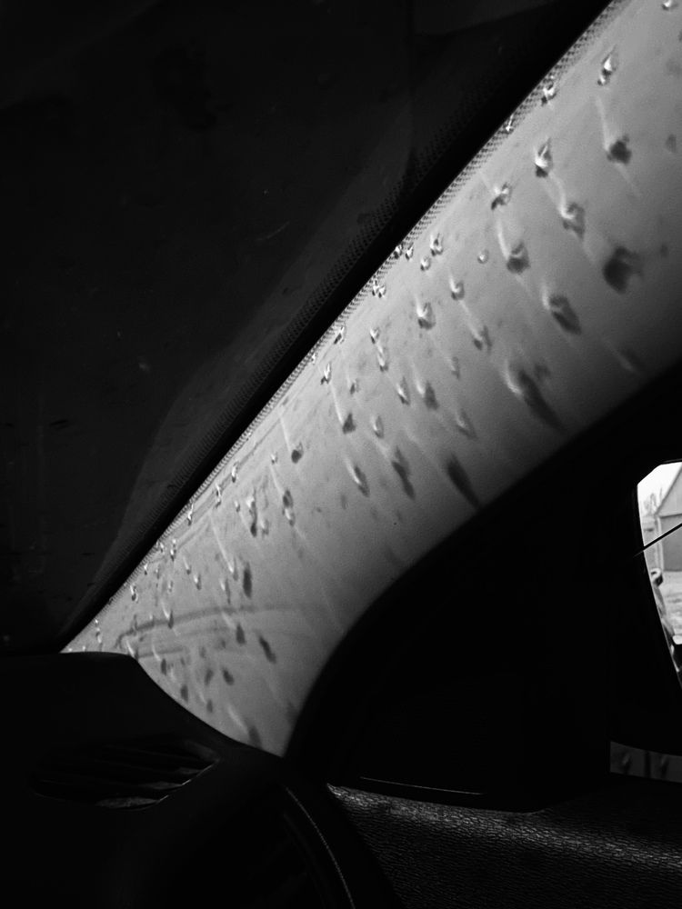 Photograph by Елена Гущина