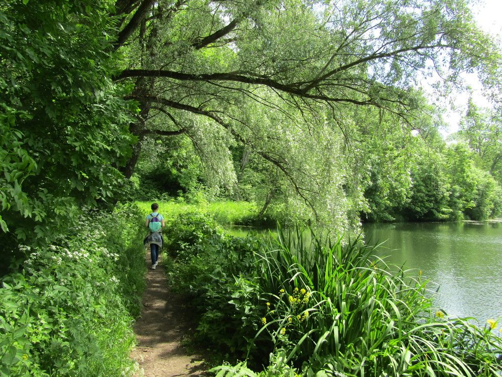 Усадьба Гостилицы. Ледажный пруд