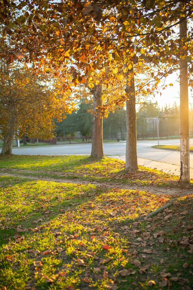 Photograph by Регина Хохлова