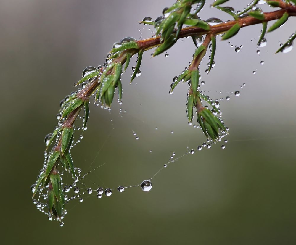 Photograph by Владимир Архипов
