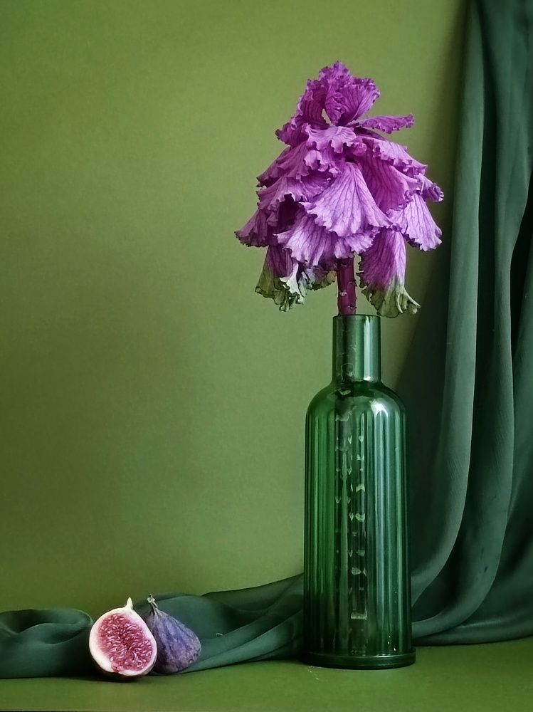 Photograph by Елена Бородина