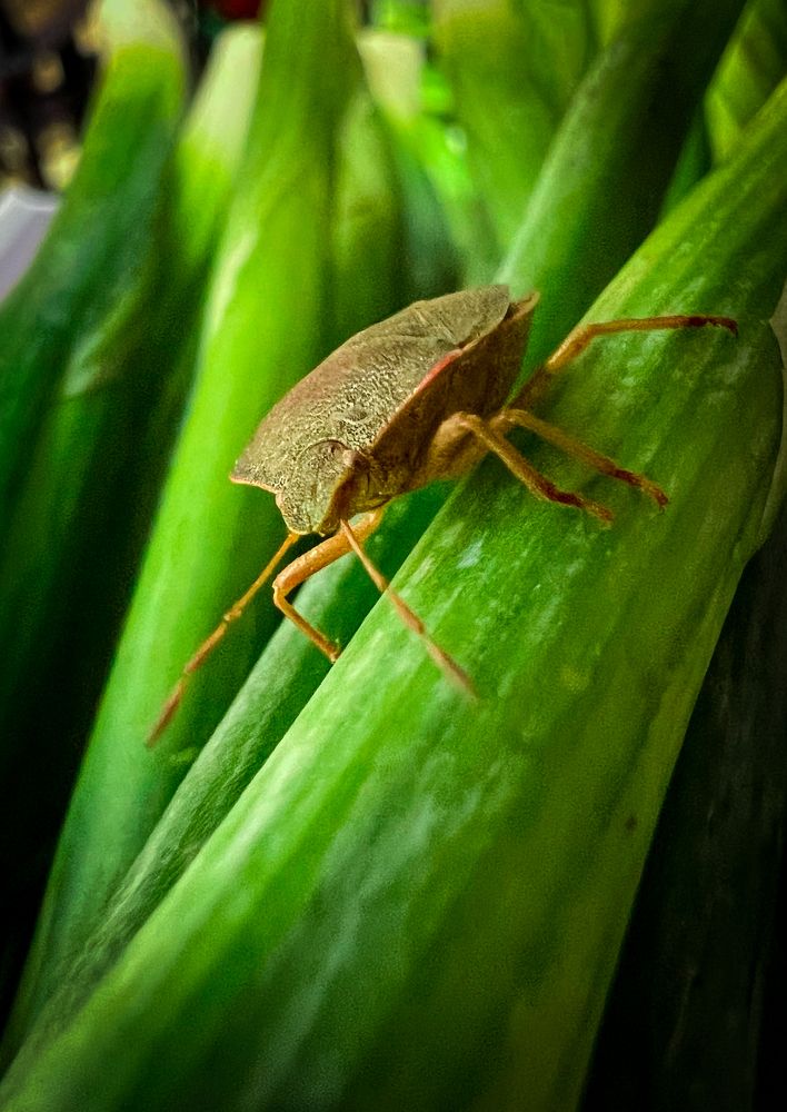 Photograph by Дамир Давронов