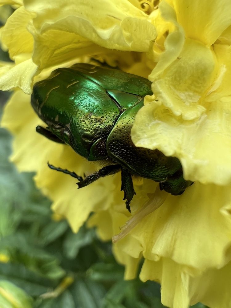 Photograph by Харламова Алина