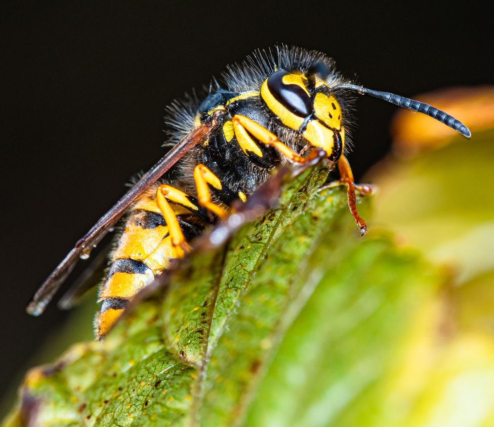 Photograph by Наталья