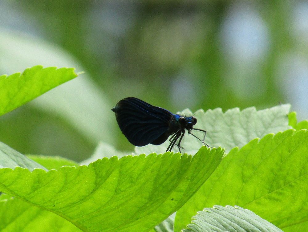 Photograph by Татьяна Смирнова