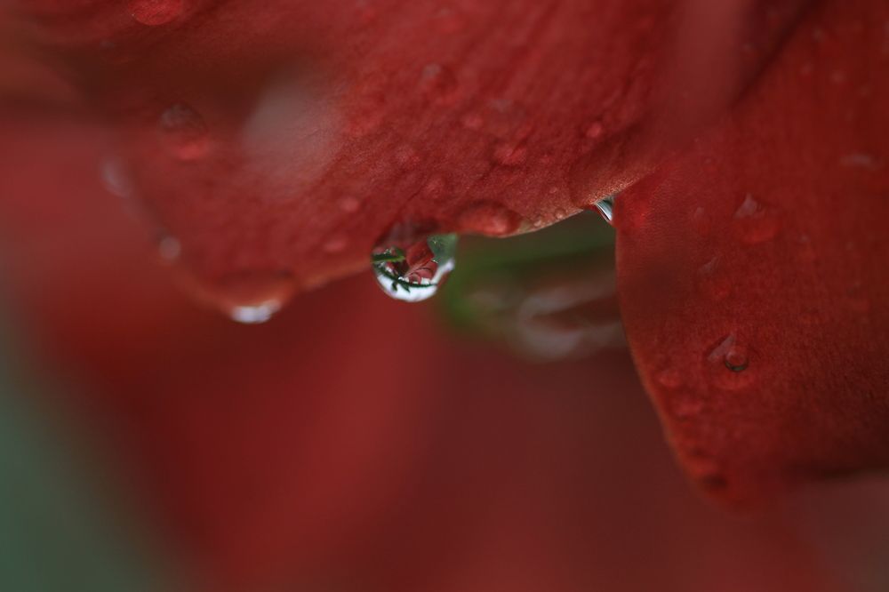 Photograph by Леунина Людмила