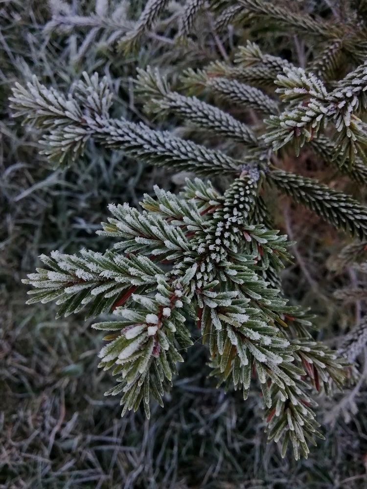 Photograph by Екатерина Чижевская