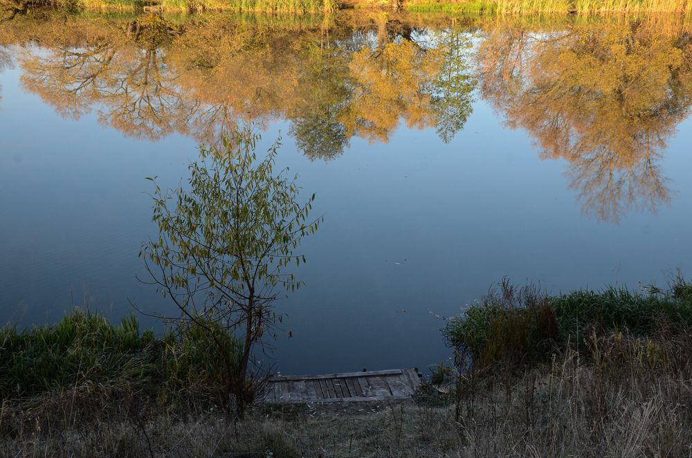 Photograph by Елена Сырцева