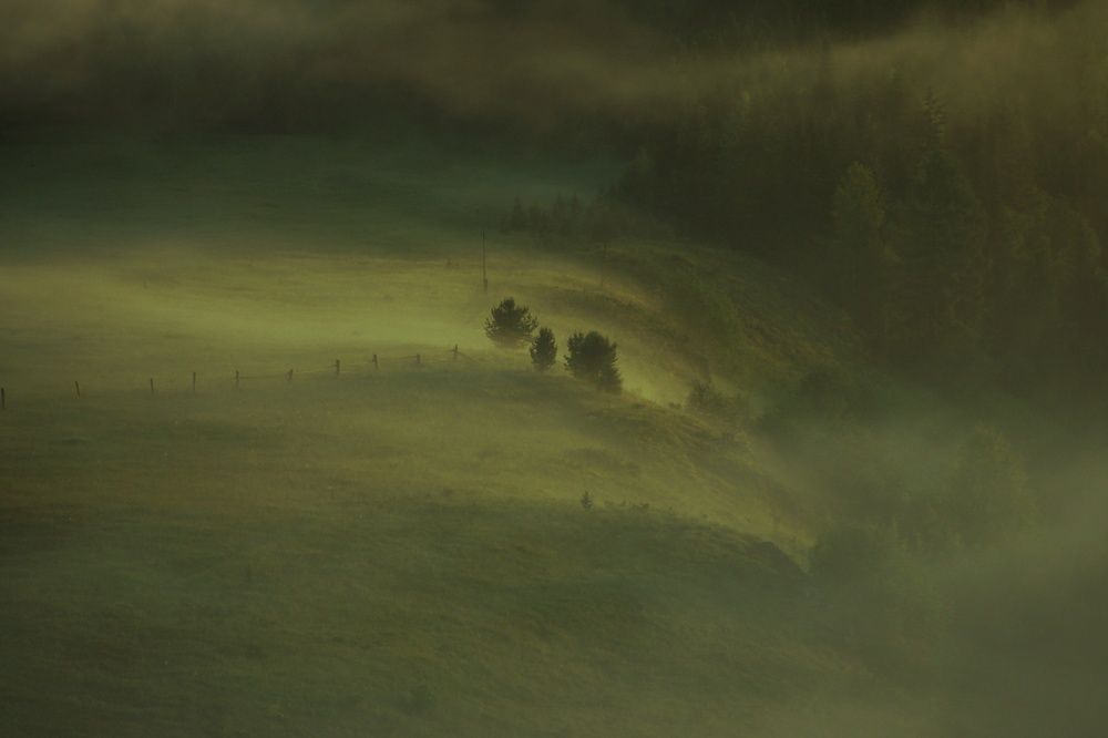 Photograph by Светлана Лехмус