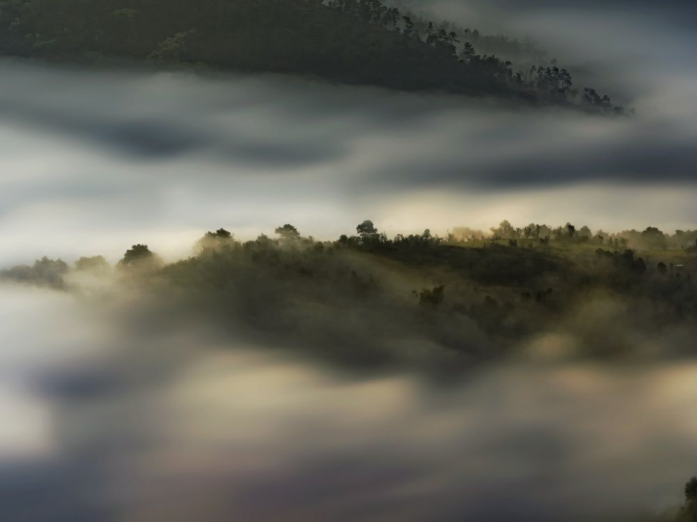 The nature's Blanket