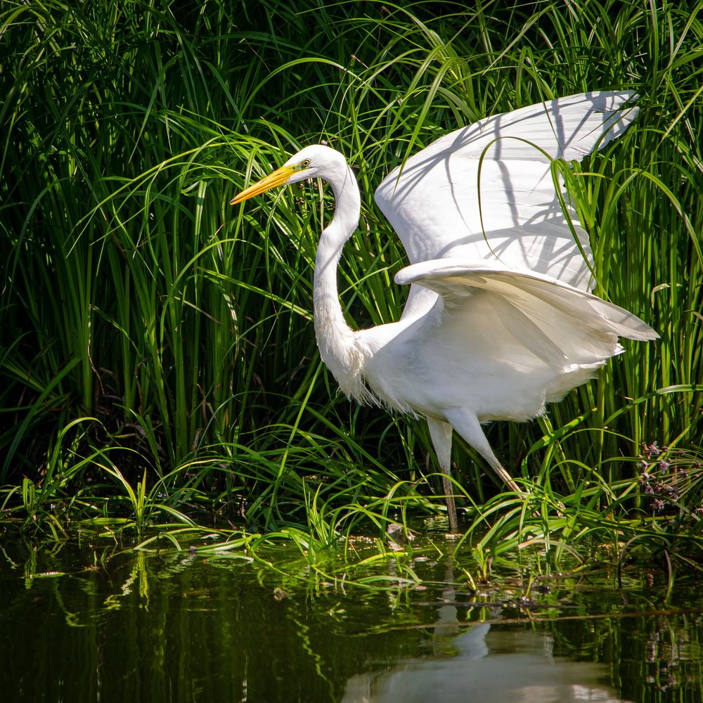 Photograph by Оксана Маховская