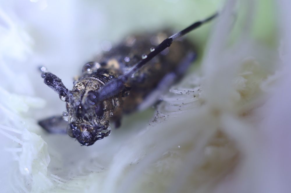 Photograph by Виктор Саврей