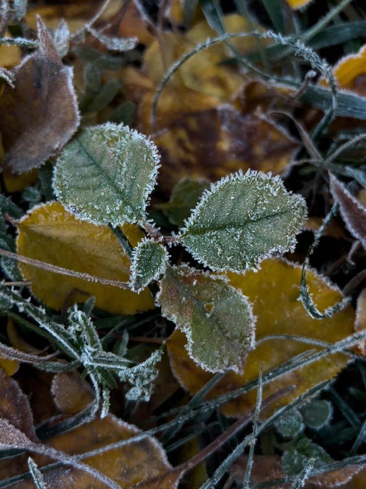 Photograph by Марина Скворцова