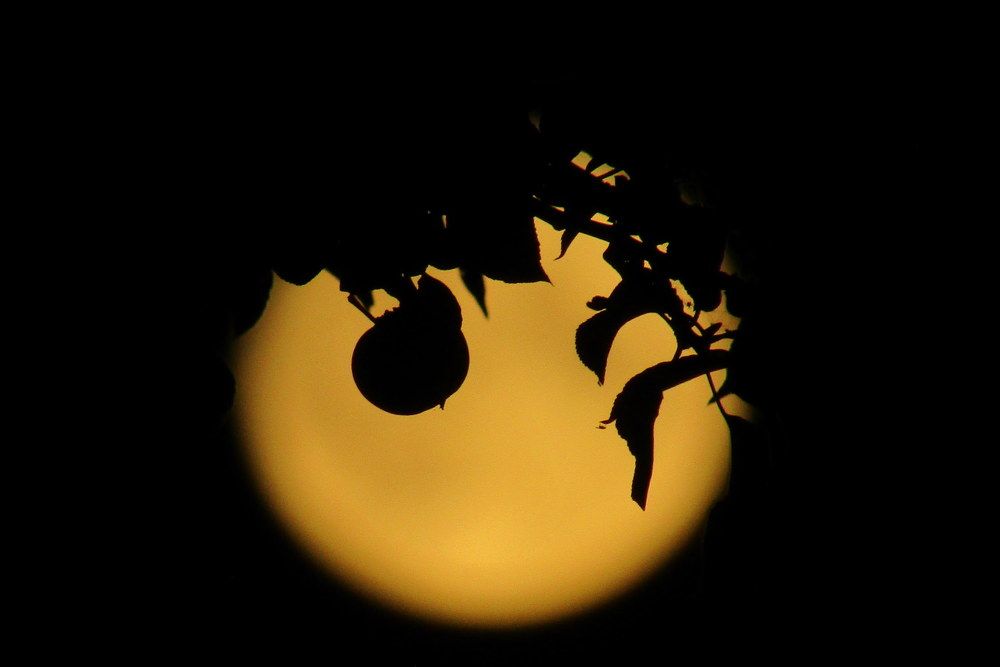 Август. Полнолуние