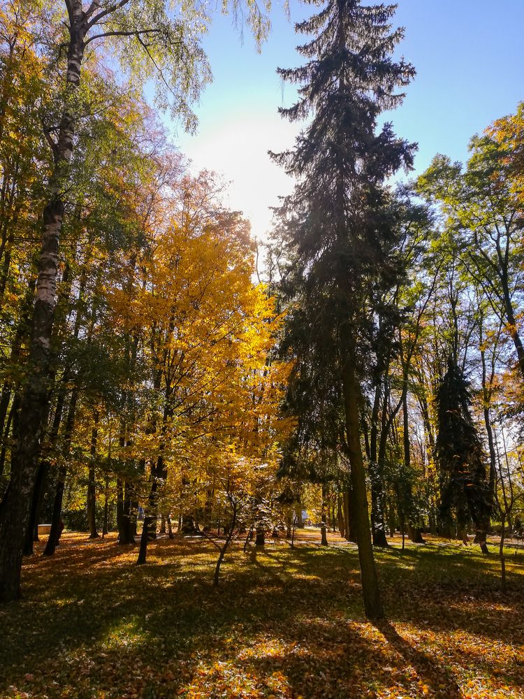 Photograph by Наталья S.