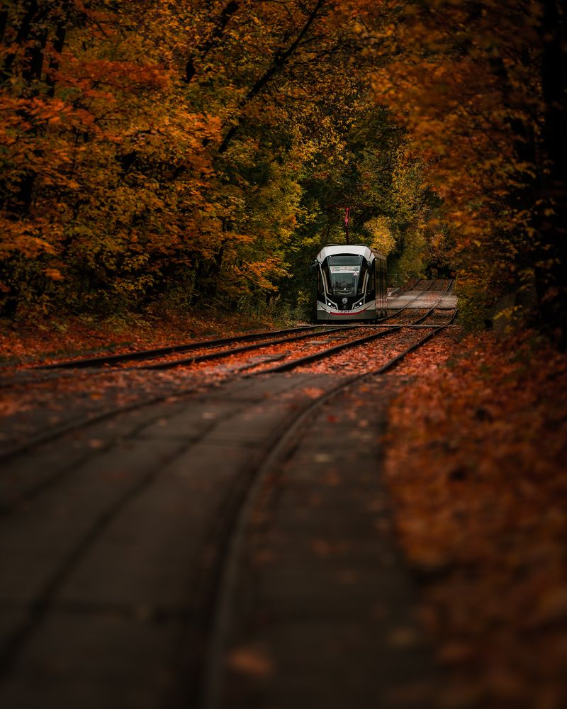 Photograph by Антон Шваин