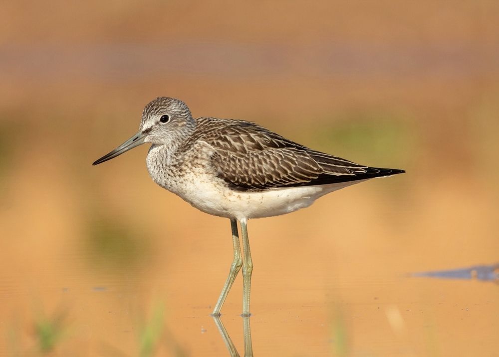 Photograph by Павел Краснослободцев